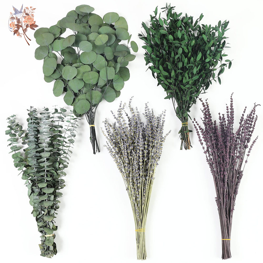 110Pcs Mix Dried Eucalyptus Le - Home Fragrance Fillers recension och pris
