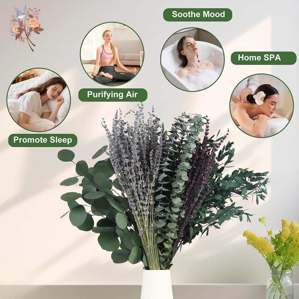 110Pcs Mix Dried Eucalyptus Le - Home Fragrance Fillers recension och pris